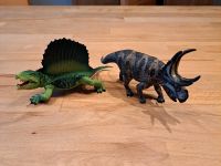 Schleich Dino Dinosaurier Nordrhein-Westfalen - Alsdorf Vorschau