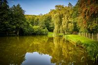Angelsee Ferienpark Angelpark Center Park Betriebsausflug Rheinland-Pfalz - Welterod Vorschau