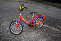 Kinderfahrrad 16 Zoll "BOOMER" von Fahrrad Walcher Deizisau Baden-Württemberg - Köngen Vorschau