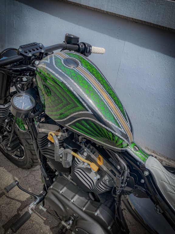 Harley-Davidson 48 forty eight Candy flakes Hulk Custom 600 Km in Hamburg