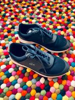 Lacoste Sneaker Gr. 38 Dresden - Trachau Vorschau