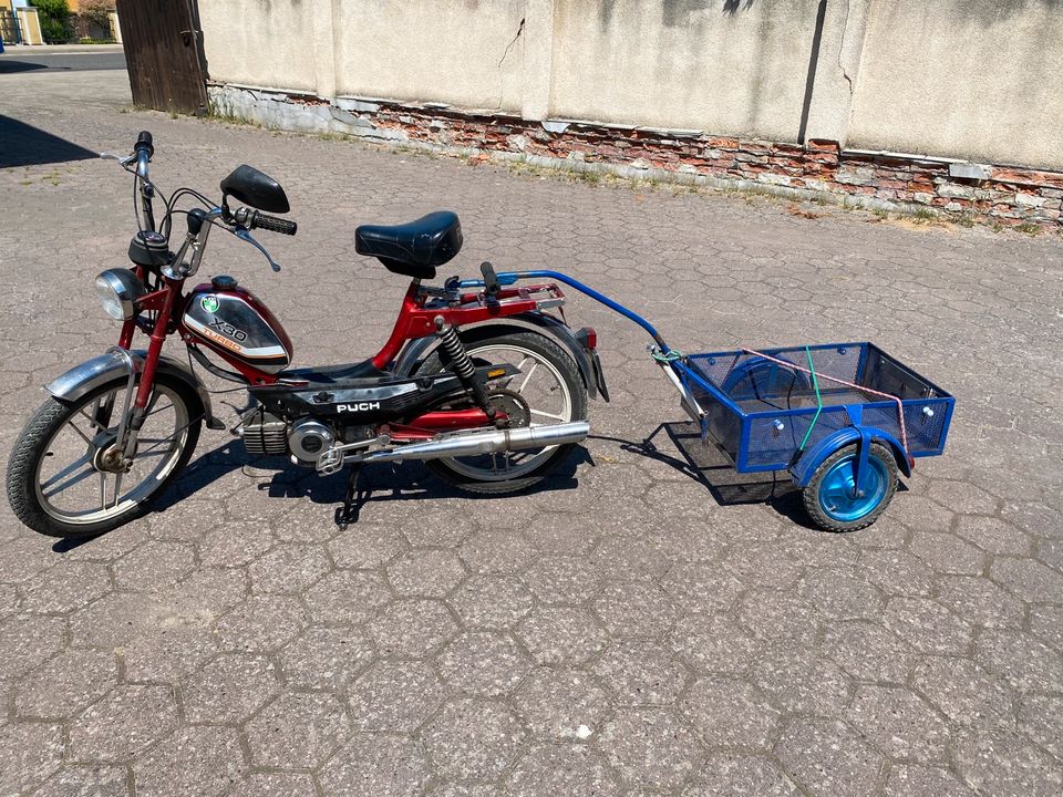 Puch XC 30/2 in Neustrelitz