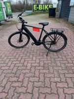 Greens Richmond E-Bike 2.Wahl Outlet Sparen Elektrofahrrad Herren Schleswig-Holstein - Flintbek Vorschau