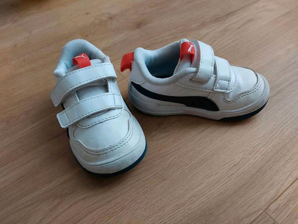 Baby Puma Sneaker/Turnschuhe⭐️Größe 20 in Hanau