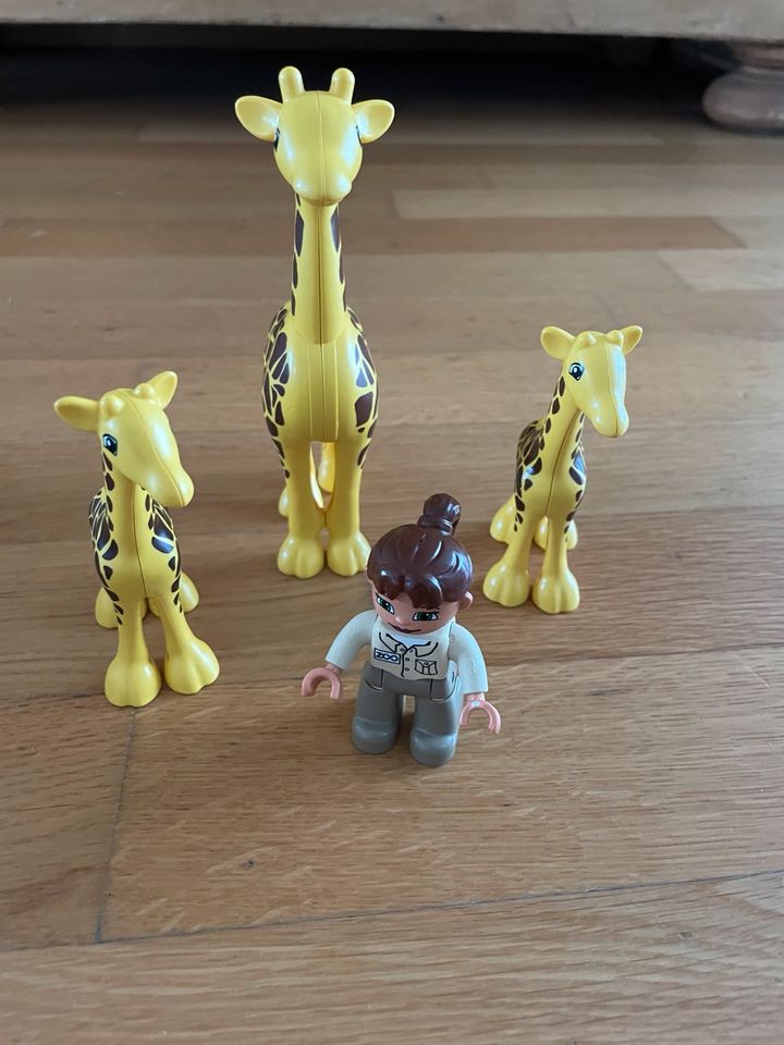 123 Playmobil Giraffen in Friedrichsdorf