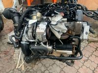 Motor VW Audi Seat Skoda 2.0 TDI CRB Nordrhein-Westfalen - Lengerich Vorschau