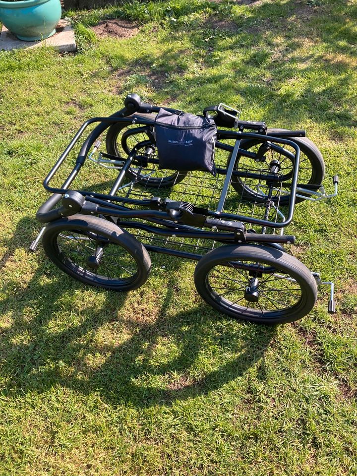 Großer dänischer Kinderwagen Trille in Hohn