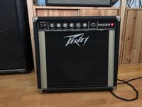 PEAVEY PACER 100 1x12“ 45 Watt Combo Amp Vintage Niedersachsen - Scharnebeck Vorschau