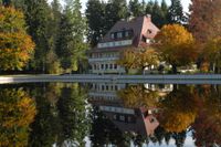 ⭐️ Hotel Waldsee ➡️ Restaurantleiter/Stor  (m/w/x), 88161 Bayern - Lindenberg im Allgäu Vorschau