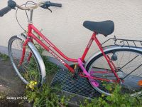 Ein Damen fahrrad Nordrhein-Westfalen - Gütersloh Vorschau