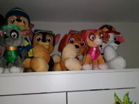 Paw Patrol Plüschtiere XL Nordrhein-Westfalen - Übach-Palenberg Vorschau