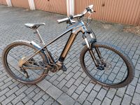 E-Bike Trek Powerfly 4 Größe M/29 Nordrhein-Westfalen - Unna Vorschau