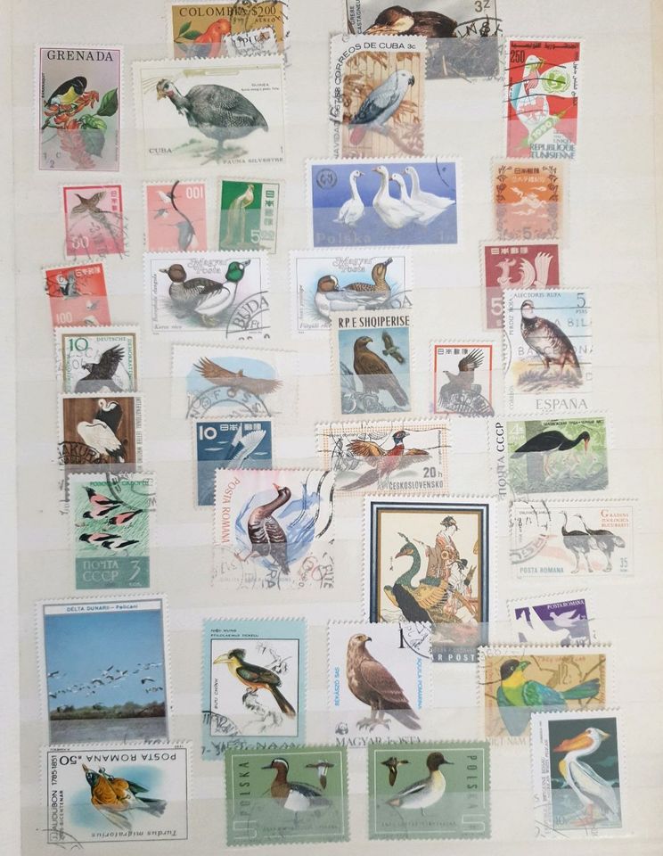 Briefmarken Sammlung Fische Vögel Fußball in Meudt