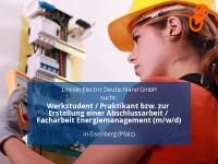 Werkstudent / Praktikant bzw. zur Erstellung einer Abschlussarbei Rheinland-Pfalz - Eisenberg  Vorschau