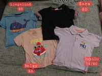 Set Jungen T-Shirts ab Gr. 74/80 Zara Nordrhein-Westfalen - Gladbeck Vorschau