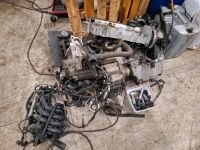 VW 1.4 Motor Getriebe Teile Nordrhein-Westfalen - Horn-Bad Meinberg Vorschau