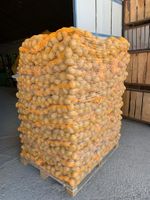Großmenge Kartoffeln und Zwiebeln Bayern - Burgheim Vorschau
