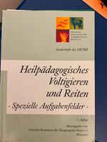Heilpädagogisches Voltigieren & Reiten - spezielle Aufgabenfelder Bayern - Schwarzenbruck Vorschau