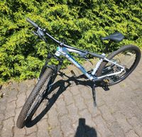 Specialized Damen Mountainbike Hessen - Gedern Vorschau