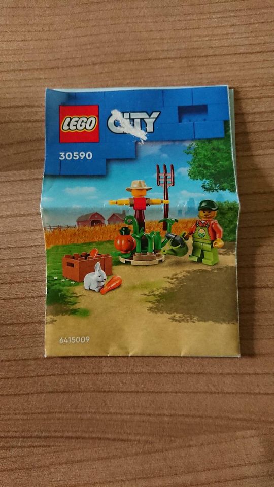 Lego City 30590 Bauernhofgarten mit Vogelscheuche in Schönecken