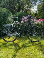 Herren e-Bike Prophete Neu Niedersachsen - Osnabrück Vorschau