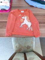 Pullover Gr. 134 Einhornmotiv Orange Sachsen - Werdau Vorschau