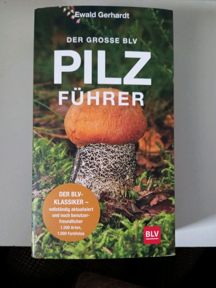 Pilze Pilzbuch Pilzführer NEU UNGELESEN in Roßbach