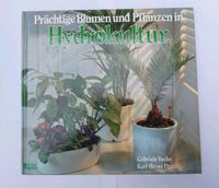 Prächtige Blumen und Pflanzen in Hydrokultur, Buch Bayern - Pöttmes Vorschau