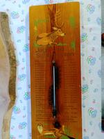 DDR Jagdthermometer und Schwartenbrett Sachsen-Anhalt - Magdeburg Vorschau