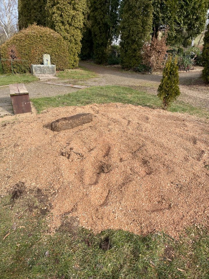 Wir fräsen Wurzeln - Wurzelfräse - Stuckenentfernung im Harz in Hattorf am Harz