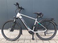 PEGASUS EVO CX 750 Herren E-Pedelec Trekkingrad 28" Rh: 55 cm Nordrhein-Westfalen - Dorsten Vorschau