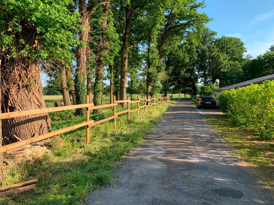 Weidezaun Koppelzaun Pferdezaun Zaun Holz Pfähle - 200 METER SET in Lennestadt