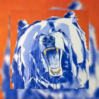 Wandbild Modern Grizzly Bär Acryl auf Leinwand 50x50 cm Leipzig - Altlindenau Vorschau