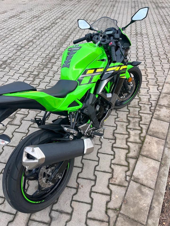 Kawasaki Ninja 125 in Landau in der Pfalz