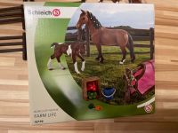 Schleich Pferde Set 42192 Koppel w Neu Baden-Württemberg - Kehl Vorschau