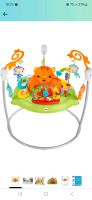 Fisher-Price Jumperoo, Tiger mit Lichtern und Musi Niedersachsen - Wiesmoor Vorschau