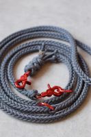 Paracord Hundeleine „Grey-R“ •JL4.0• Baden-Württemberg - Renningen Vorschau