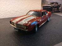 Modellauto Chevrolet Camaro 1 18 Sachsen-Anhalt - Zerbst (Anhalt) Vorschau