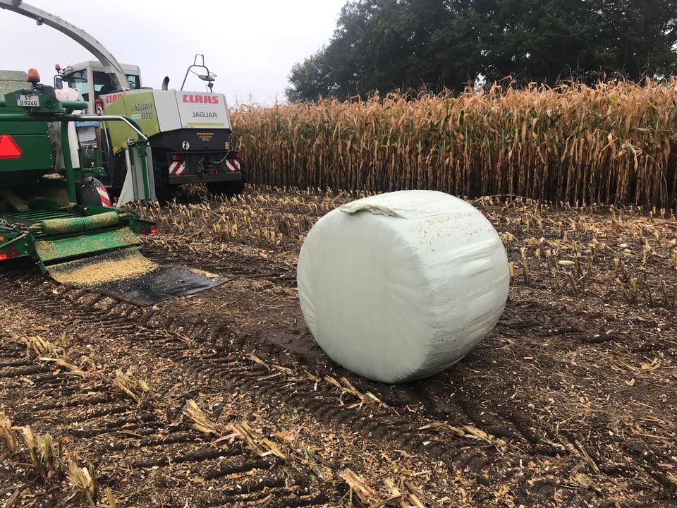 Pressen und wickeln von Maisballen, Maissilageballen,Maissilo in Laer