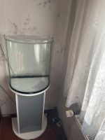 Tetra Aquarium mit Unterschrank ca.60-70l,Fische Borsdorf - Zweenfurth Vorschau