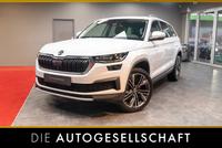 Skoda Kodiaq Tour 2.0 TDI 4x4 *LED*NAVI*SHZ*ACC*CITY*T Sachsen - Heidenau Vorschau