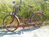 Damenfahrrad, Wanderer, Oldtimer,28 Zoll Bayern - Fürstenfeldbruck Vorschau