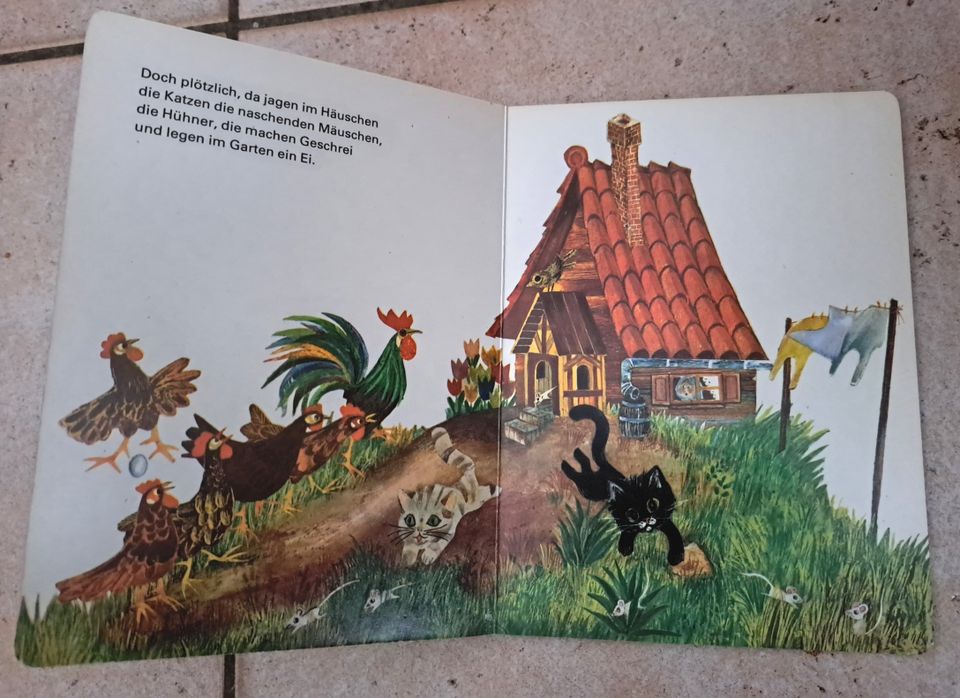 Geburtstags-Überraschung / OSTALGIE, DDR- Pappbilderbuch mit Bild in Merseburg