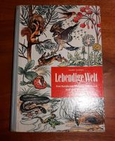 Kinderbuch alt Biologie Lebendige Welt  Harry Garms Dortmund - Hörde Vorschau