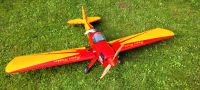 RC Modell Spacewalker Rheinland-Pfalz - Mehlbach Vorschau