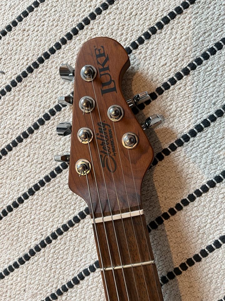 Sterling by Music Man Luke 100 Dimarzio & Pickup Splitting LK100 in Düsseldorf