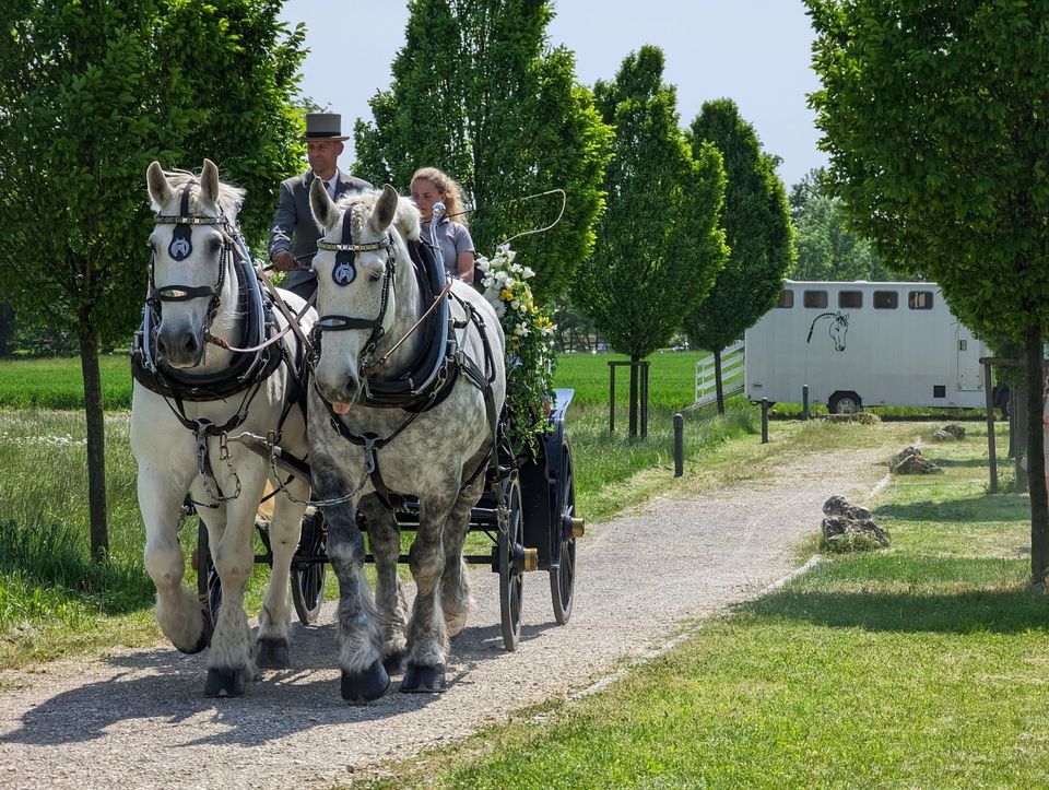 Kutschfahrten Hochzeitskutsche in Nördlingen