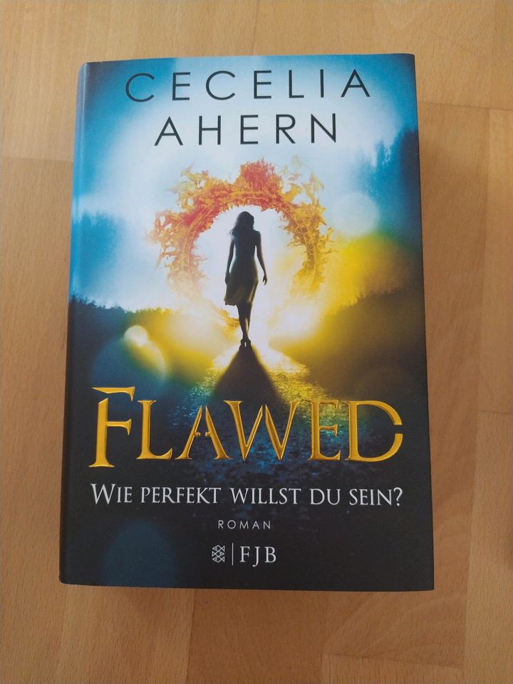 Flawed 1. Teil in Stuttgart