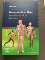 Elsevier Der menschliche Körper Fachbuch Medizin Urban Fischer Hessen - Homberg (Efze) Vorschau