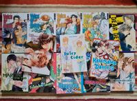 Mangas BL Boys Love Yaoi Gay Voice or Noise, Fading Colours Sachsen - Wiednitz Vorschau